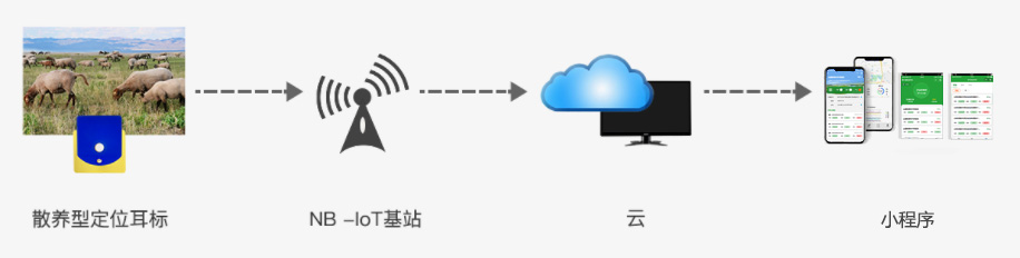 擎天碧-活體抵押金融監(jiān)管平臺（智能耳標系統(tǒng)軟件）